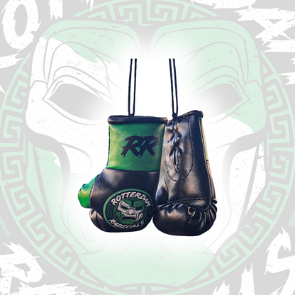 Mini bokshandschoentjes