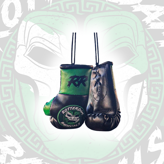 Mini bokshandschoentjes